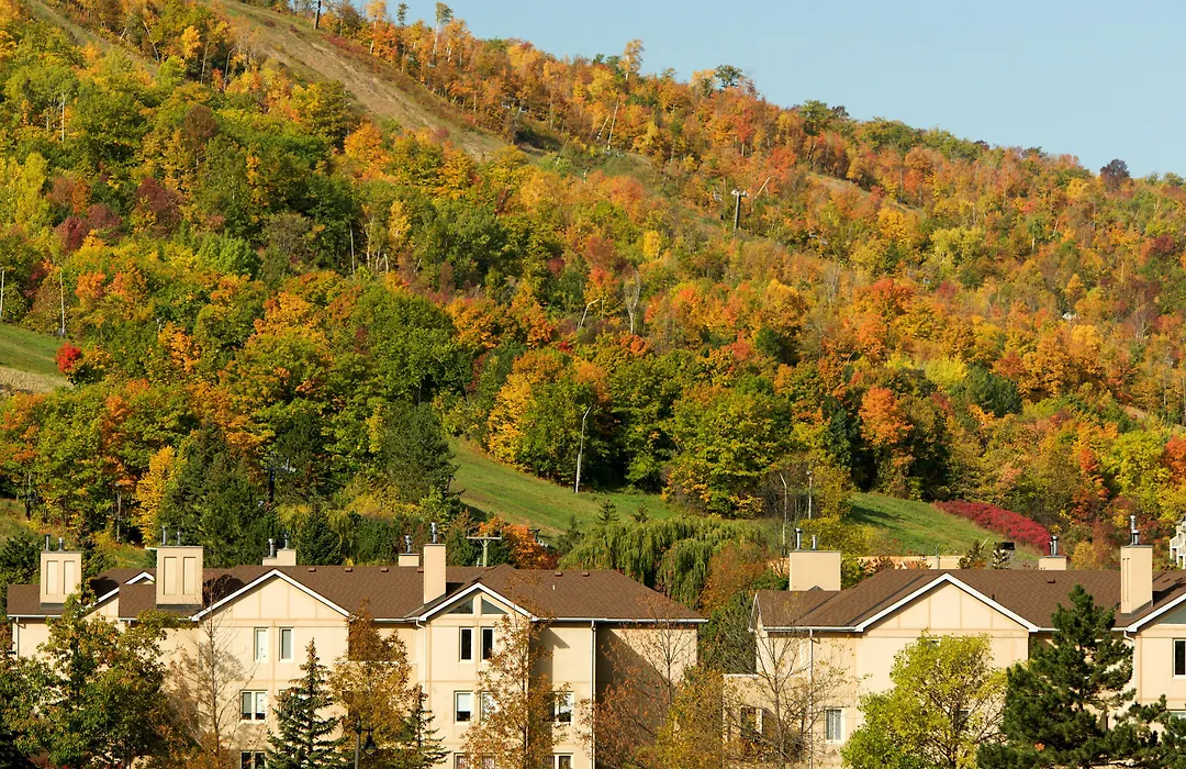 Blue Mountain Resort Home Collection-1